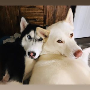 Meet your Posher, Aleksandra